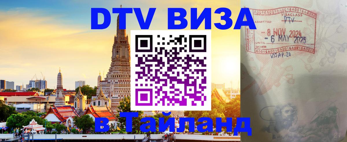 Сколько стоит DTV виза — актуальные цены, оформление даже без документов - Тамбов 